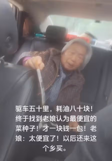 兒子驅車五十公里,找到母親要的菜種子:一塊錢種子,耗油80塊錢