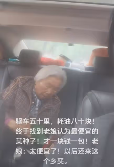 兒子驅車五十公里,找到母親要的菜種子:一塊錢種子,耗油80塊錢