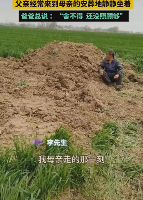 母親因病去世父親常去看她,靜坐安葬處發獃跟兒子懺悔:沒照顧夠