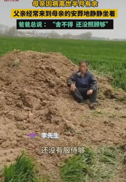 母親因病去世父親常去看她,靜坐安葬處發獃跟兒子懺悔:沒照顧夠