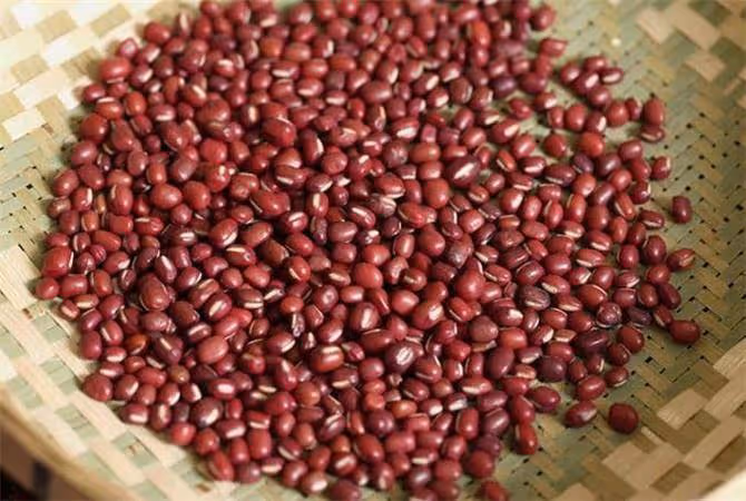 紅豆就是赤小豆?別再搞錯了!教你如何區分紅豆和赤小豆