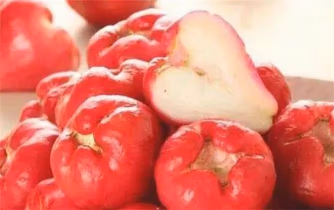 蓮霧有什麼益處?可生吃和做菜肴?有哪些禁忌?蓮霧果的正確吃法