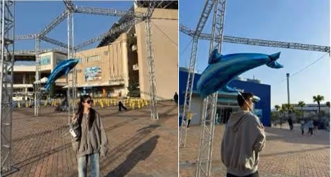 人氣女團成員爆與足球運動員熱戀！網友：姐姐你糊塗啊...