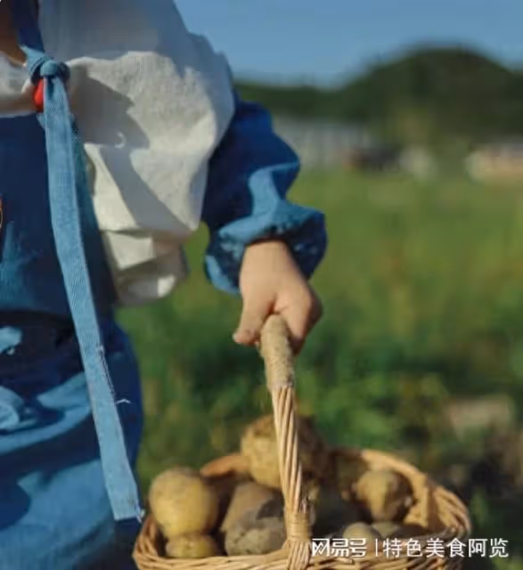 我國哪裡盛產土豆?中國十大土豆產地盤點,你的家鄉上榜了嗎?