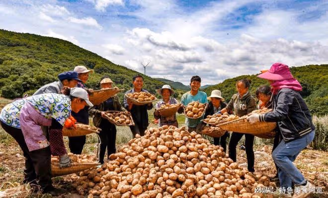 我國哪裡盛產土豆?中國十大土豆產地盤點,你的家鄉上榜了嗎?