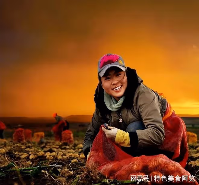 我國哪裡盛產土豆?中國十大土豆產地盤點,你的家鄉上榜了嗎?