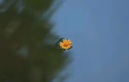 不聯繫後,真正愛你的男人,能忍住多久不來找你?