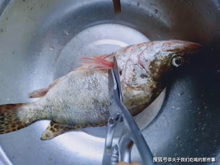 清蒸魚,蒸幾分鐘?熱水上鍋還是冷水?記住這5點,魚肉鮮香嫩滑