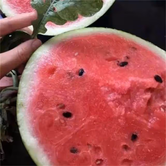麒麟瓜有籽嗎?麒麟瓜為什麼儘量少吃?