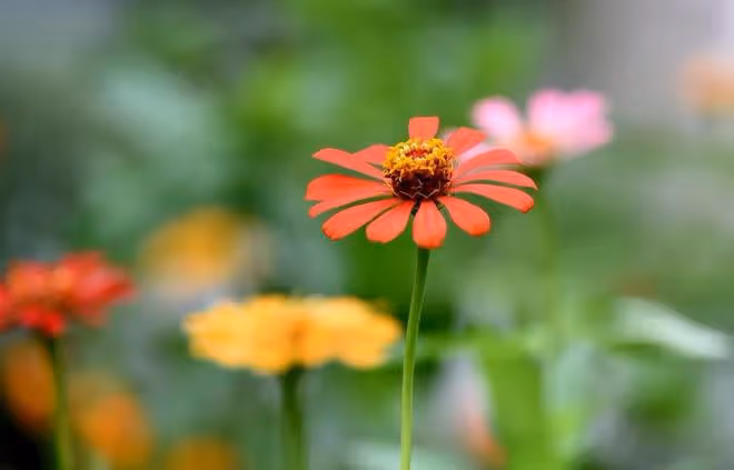5月貴人照拂,運勢上上籤,3大星座求財順遂,日子喜氣盈門