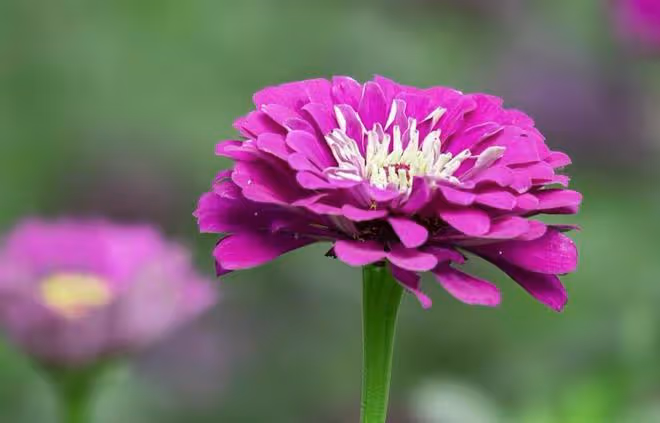 5月貴人照拂,運勢上上籤,3大星座求財順遂,日子喜氣盈門
