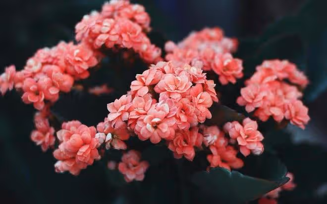 66歲張阿姨吐真言:哪怕有房有錢身體好,都不能缺少一個老伴