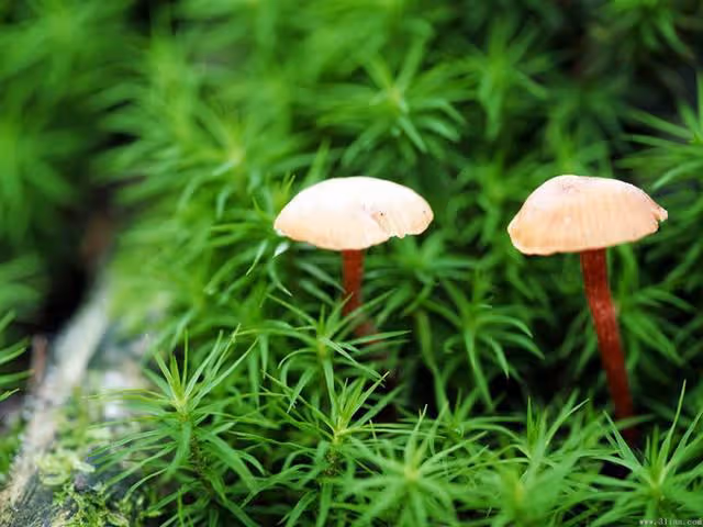 老年夫妻分居睡到底好不好?一位73歲大爺的經歷告訴了答案