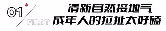 《春色寄情人》全國收視率第一,打了多少資方的臉,劉琳又賭對了