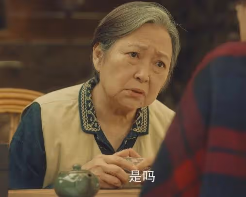 《春色寄情人》全國收視率第一，打了多少資方的臉，劉琳又賭對了