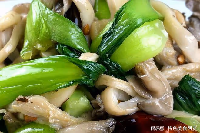 蘑菇號稱「植物肉」,營養比肩肉類,10道佳肴,提升免疫嘎嘎香