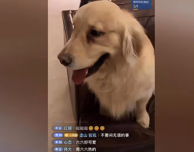周海媚80歲老母親露面，姐姐和弟弟現身，家人帶六六回到北京別墅
