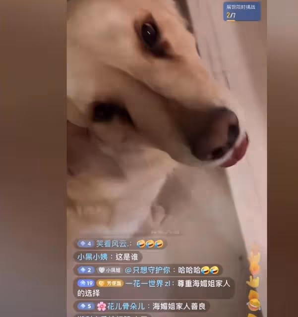 周海媚80歲老母親露面，姐姐和弟弟現身，家人帶六六回到北京別墅