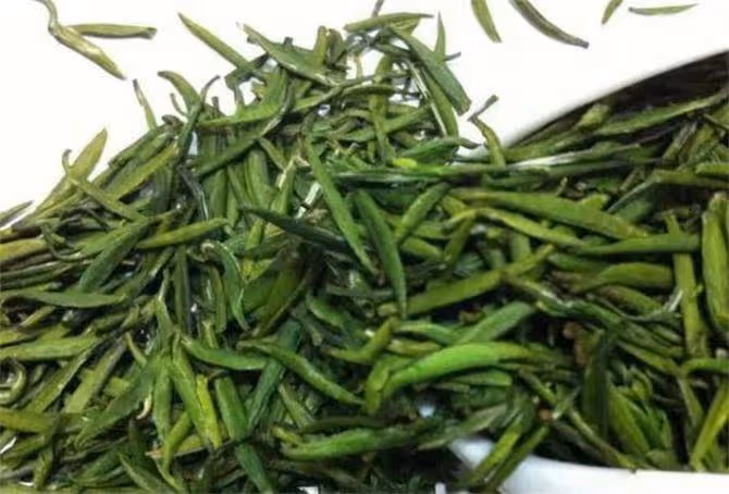 中國四大綠茶品種有哪些?綠茶的四大種類