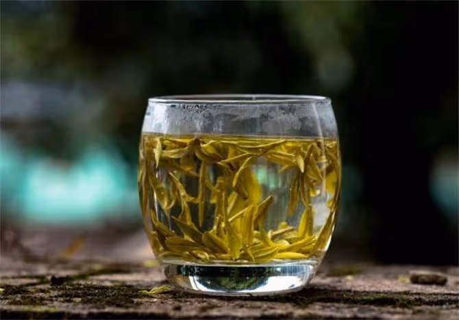 龍井茶是綠茶還是紅茶?為什麼龍井茶的價格差距會這麼大?