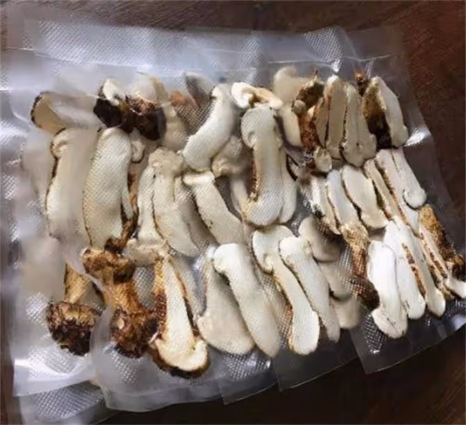 新鮮松茸如何正確保存?想要一整年都有新鮮松茸吃,就這樣存放