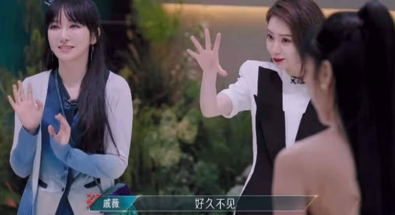 《浪姐5》:郭碧婷的大餅臉,水桶腰,是對內娛畸形審美的反擊