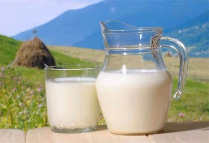 牛乳和牛奶的區別在哪?怎麼辨別純牛奶?什麼又是生牛乳?