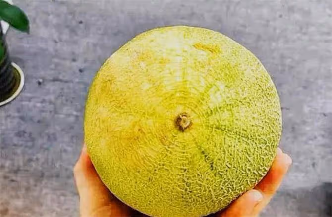 哈密瓜怎麼挑?黃皮和綠皮哈密瓜哪個更好吃?