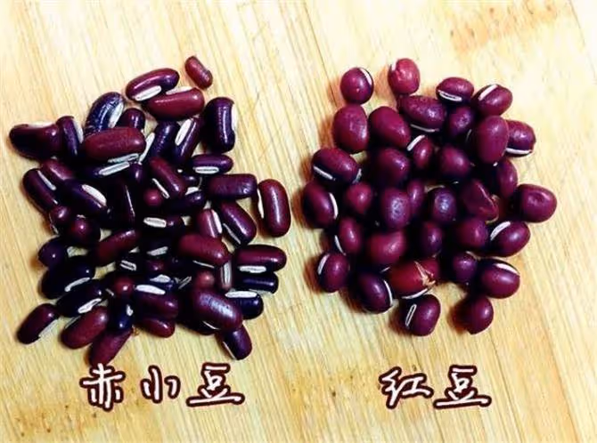 赤小豆和紅小豆的區別在哪裡?怎麼分辨紅小豆和赤小豆?