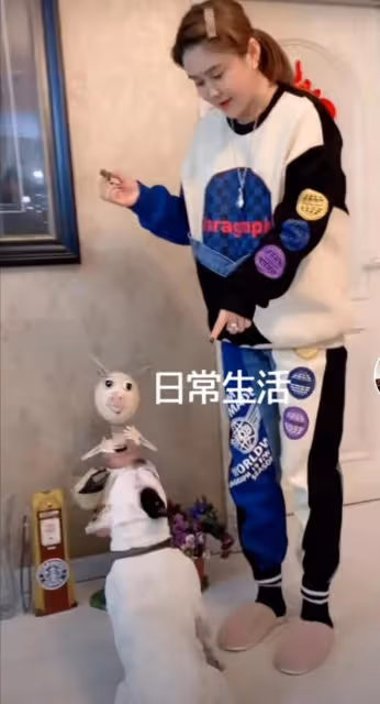 鄉愛「長貴」小19歲嬌妻太時髦,穿奢侈品,坐豪車裡沖鏡頭嘚瑟