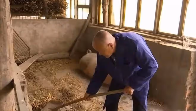 農村大爺相中城裡大媽,直接給5000塊錢見面禮:我的錢就是你的錢
