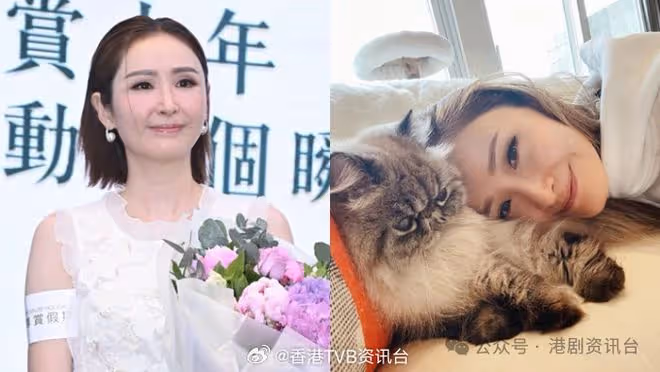 陳貝兒經常出埠擔心愛貓!無拖拍期待主持尋姻緣節目