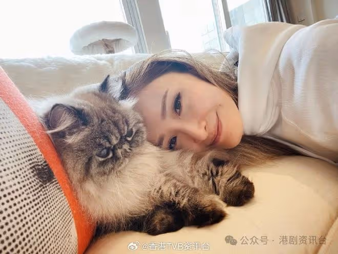 陳貝兒經常出埠擔心愛貓!無拖拍期待主持尋姻緣節目