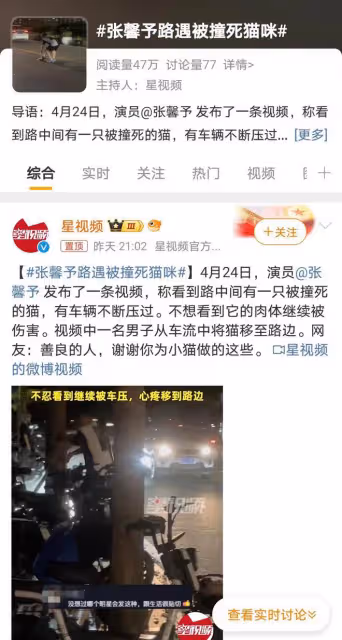 張馨予淚灑街頭,與夫共救被撞小貓