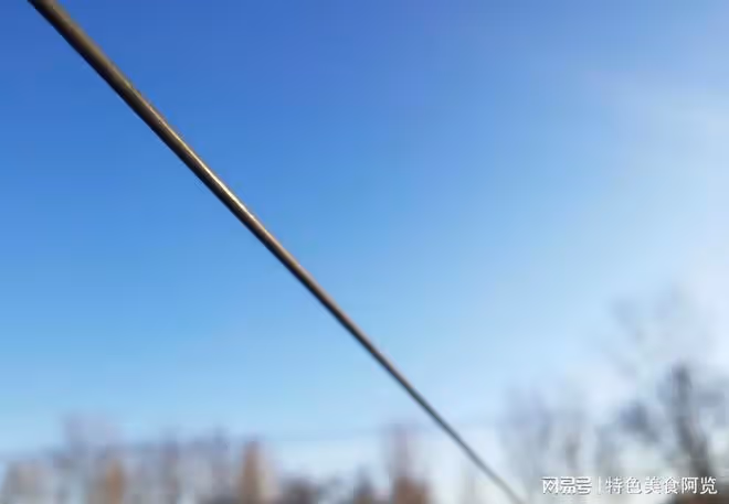 休閒釣魚選對竿子，享受釣魚的樂趣！