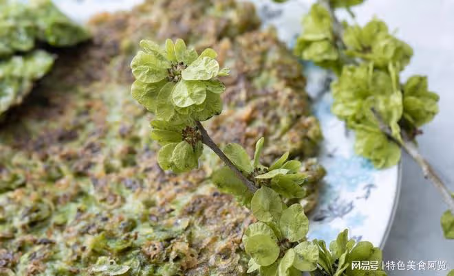 四月美食推薦:清香可口,你認識它嗎?