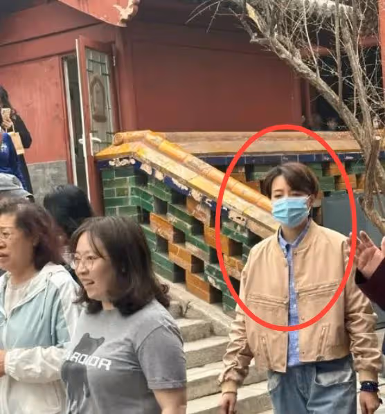 56歲周濤和50歲董卿近照,一個優雅老去,一個剪短髮成路人