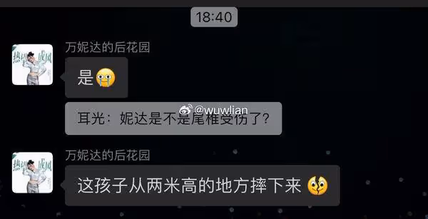 《浪姐5》爆意外!女星「2m空中墜落」摔裂尾椎 忍痛扶腰繼續錄