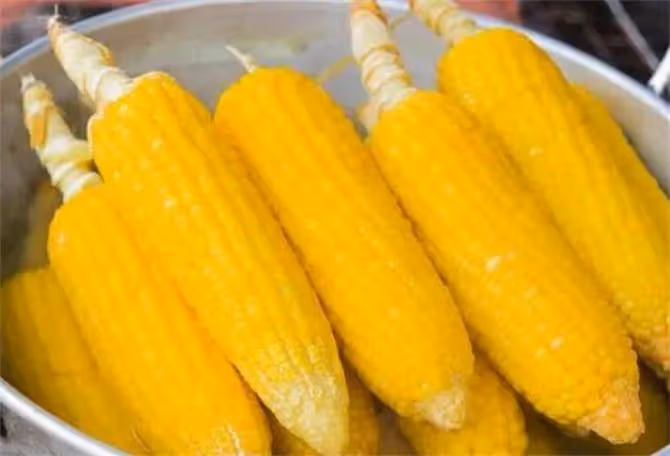 生玉米棒能直接冷凍保存嗎？玉米是生的冷凍好還是熟的冷凍好？