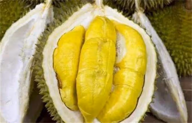榴槤開了不熟怎麼補救？榴槤打開後沒熟怎麼辦？這個土方法不錯