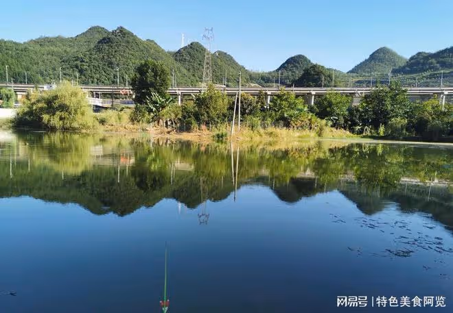 野釣鯽魚技巧大揭秘:釣靈與釣鈍的巧妙選擇