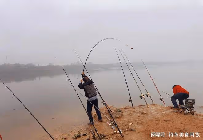 野釣鯽魚技巧大揭秘:釣靈與釣鈍的巧妙選擇