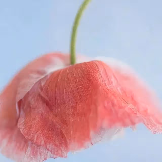 男人害怕失去你,他的身體一定會有這4個強烈的反應,真的很明顯