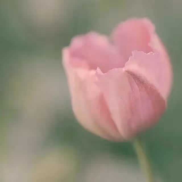 男人害怕失去你,他的身體一定會有這4個強烈的反應,真的很明顯