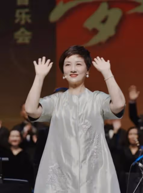 鄧婕老是老了點,穿絲綢上衣優雅又貴氣,有皺紋也難擋高級氣質
