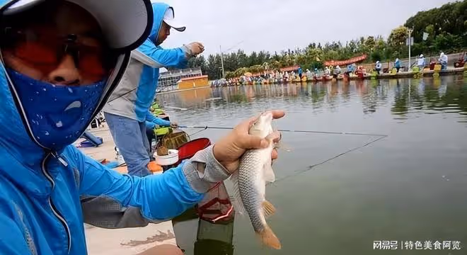 西北風起,釣魚好時機!找准釣位,漁獲翻倍!