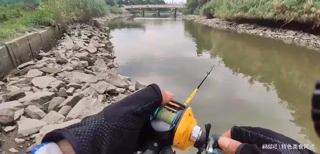 中午釣魚,怎麼釣才能大豐收?來聽聽老釣手的經驗分享!