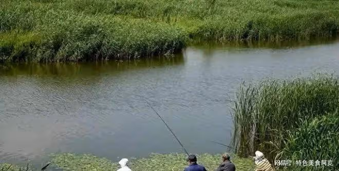 天熱釣魚,釣深還是釣淺?一文教你夏日釣魚秘訣!