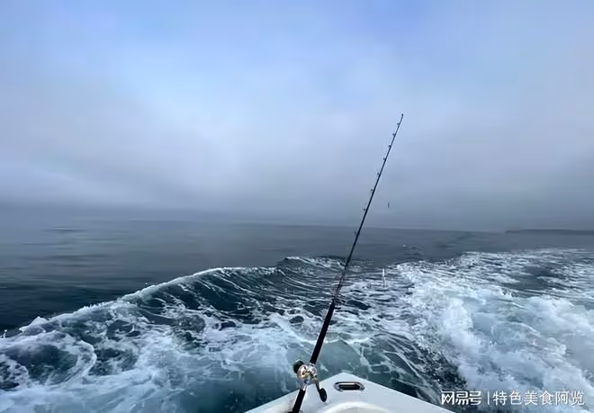 天熱釣魚,釣深還是釣淺?一文教你夏日釣魚秘訣!