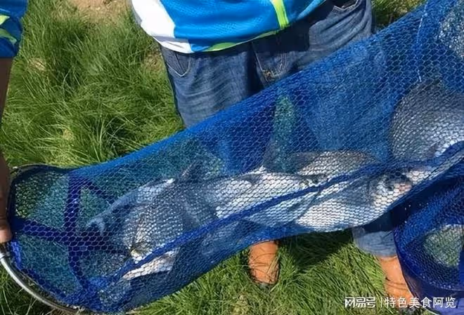 天熱釣魚,釣深還是釣淺?一文教你夏日釣魚秘訣!